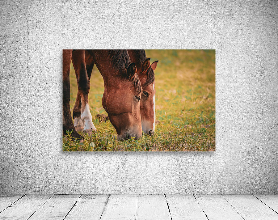 Nevada wild 1 1 Wall Preview