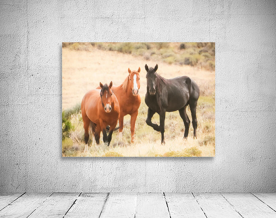 Nevada Mustang Series 15 1 Wall Preview