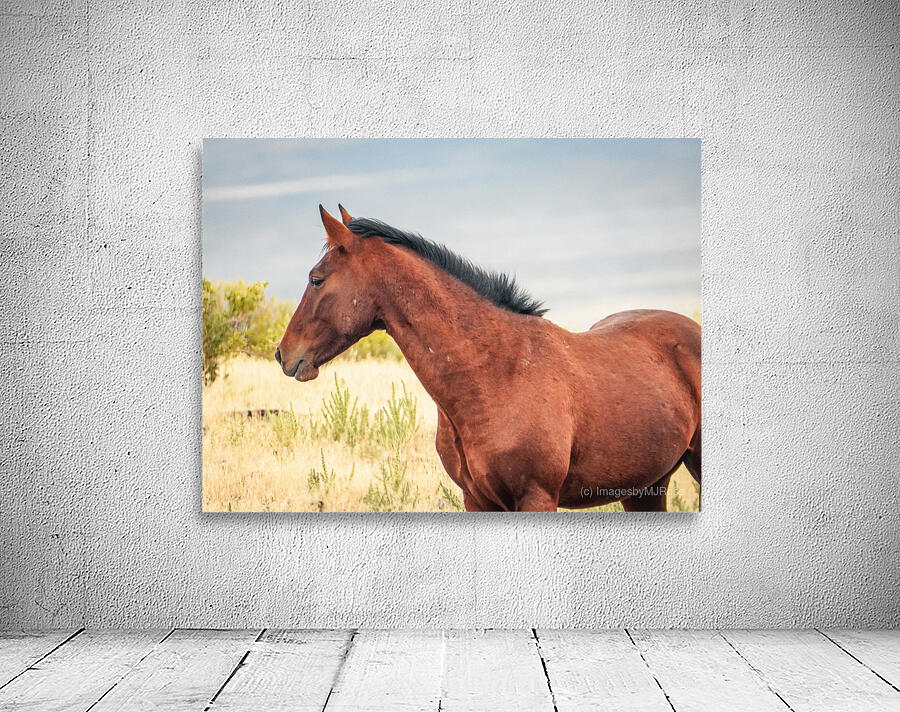 Nevada Mustang Series 17 1 Wall Preview