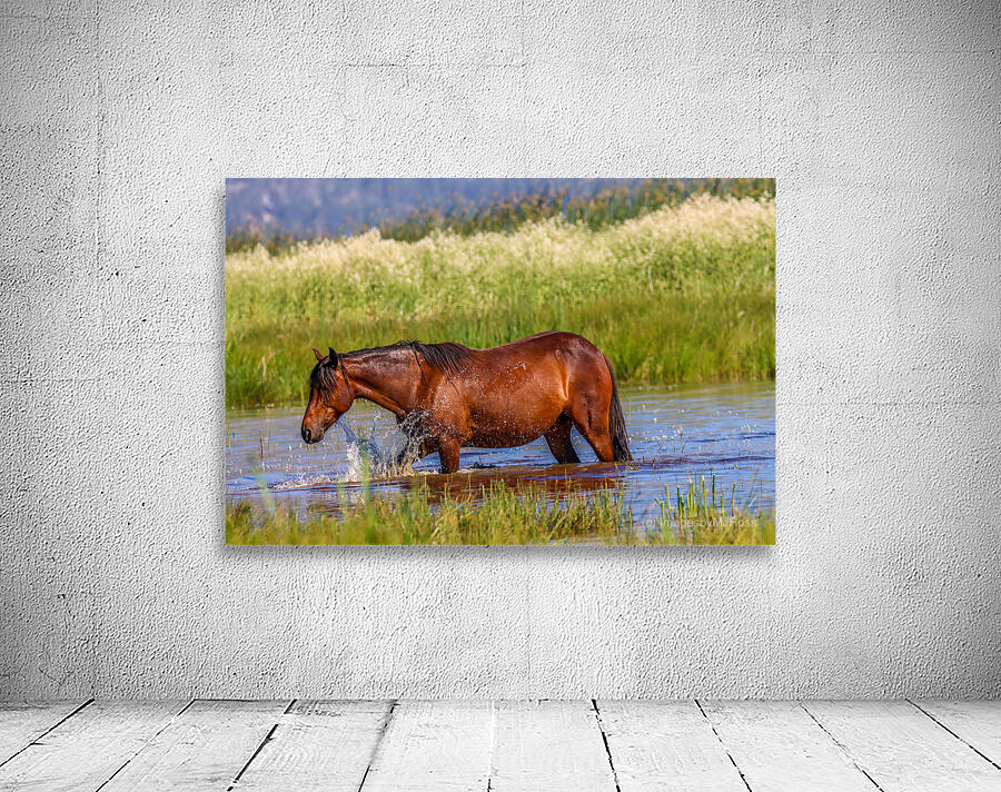 Nevada Mustang 1 1 Wall Preview