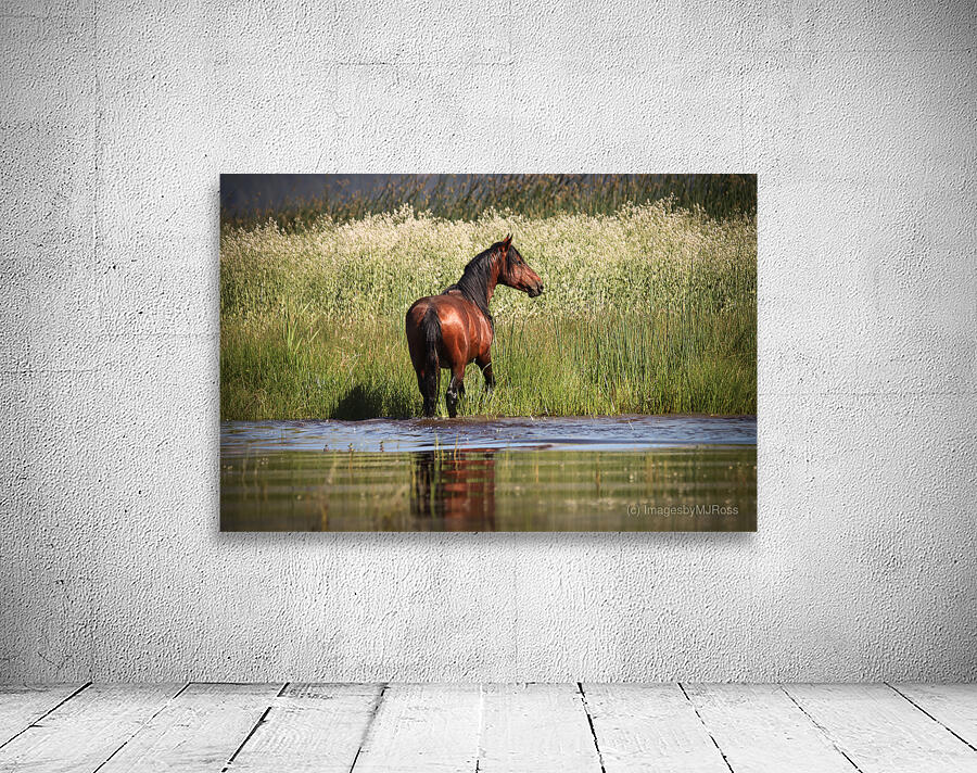 Nevada Mustang 1 5 Wall Preview