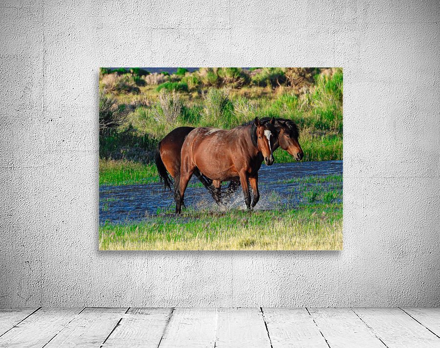 Nevada Mustang 1 6 Wall Preview