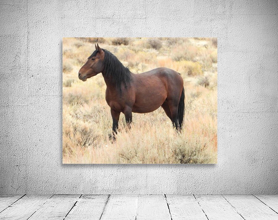 Nevada Mustang 2 3 Wall Preview