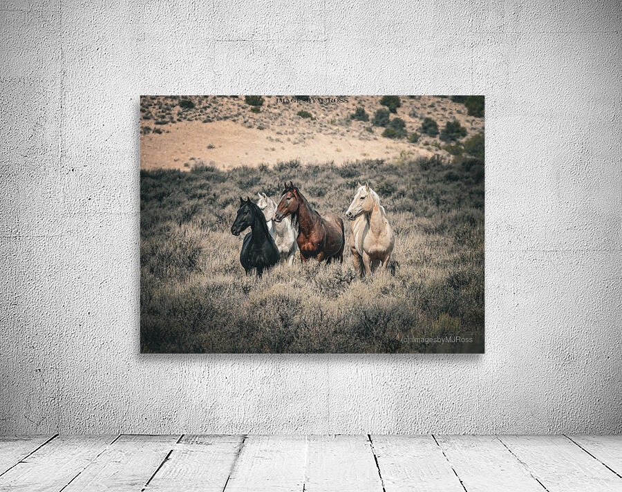 Nevada Mustang 3 1 Wall Preview