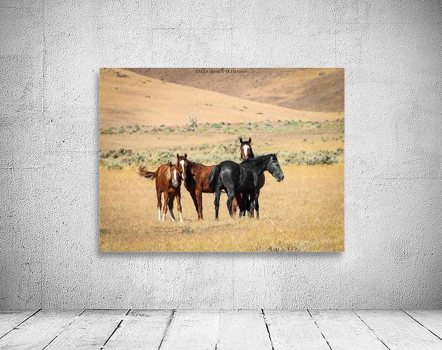 Nevada Mustang 3 3 Wall Preview