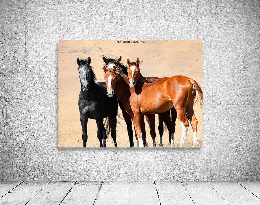 Nevada Mustang 3 5 Wall Preview