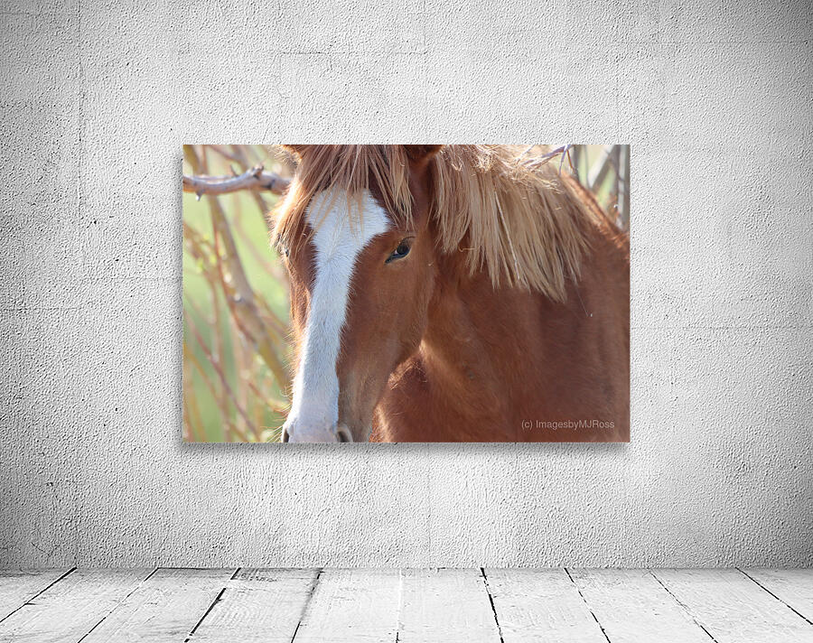 Nevada Wild 12 1 Wall Preview