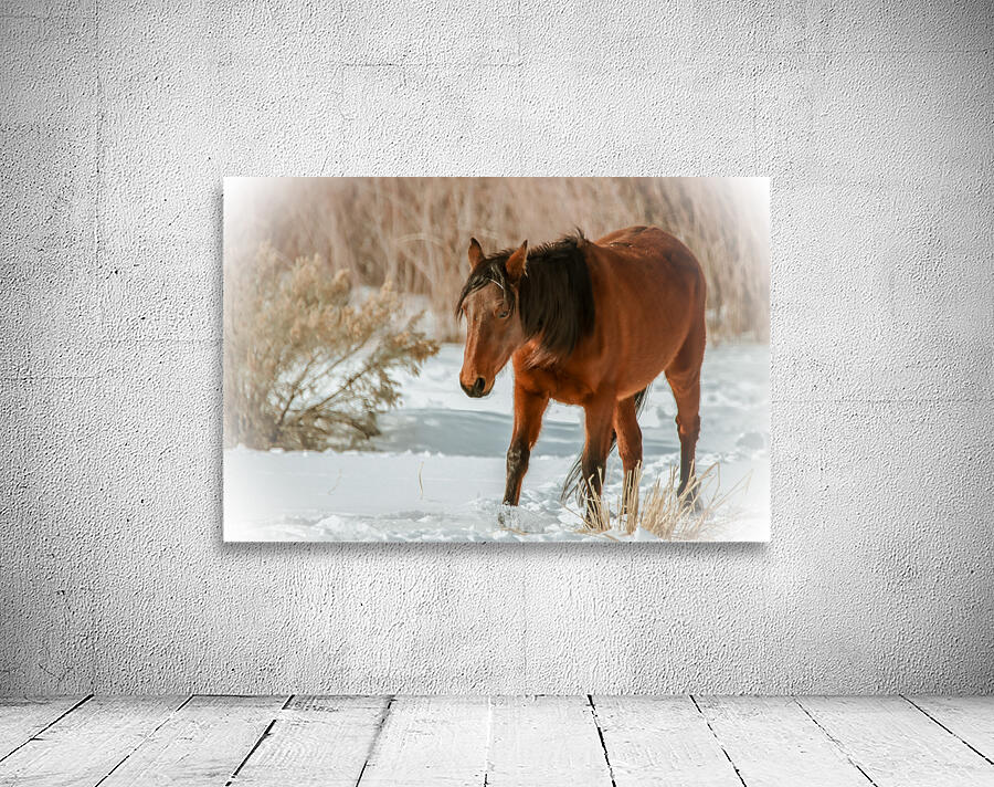 Nevada Wild Winter2 1 Wall Preview