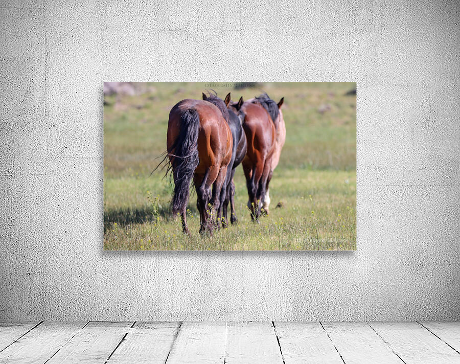 Nevada Wild 14 1 Wall Preview