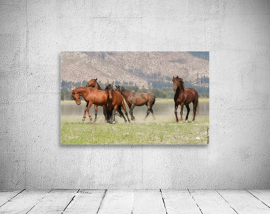 Nevada Wild 15 1 Wall Preview