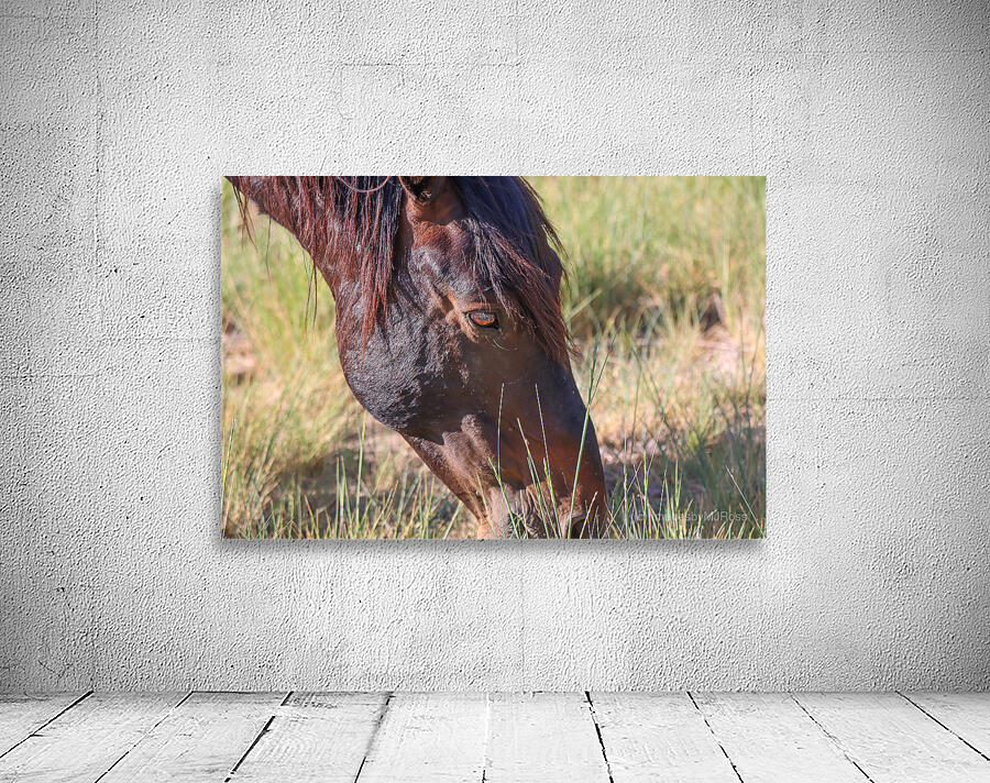 Nevada Wild 165 1 Wall Preview