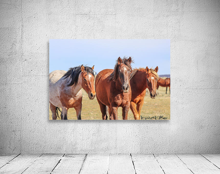 Nevada Wild 165 1 Wall Preview