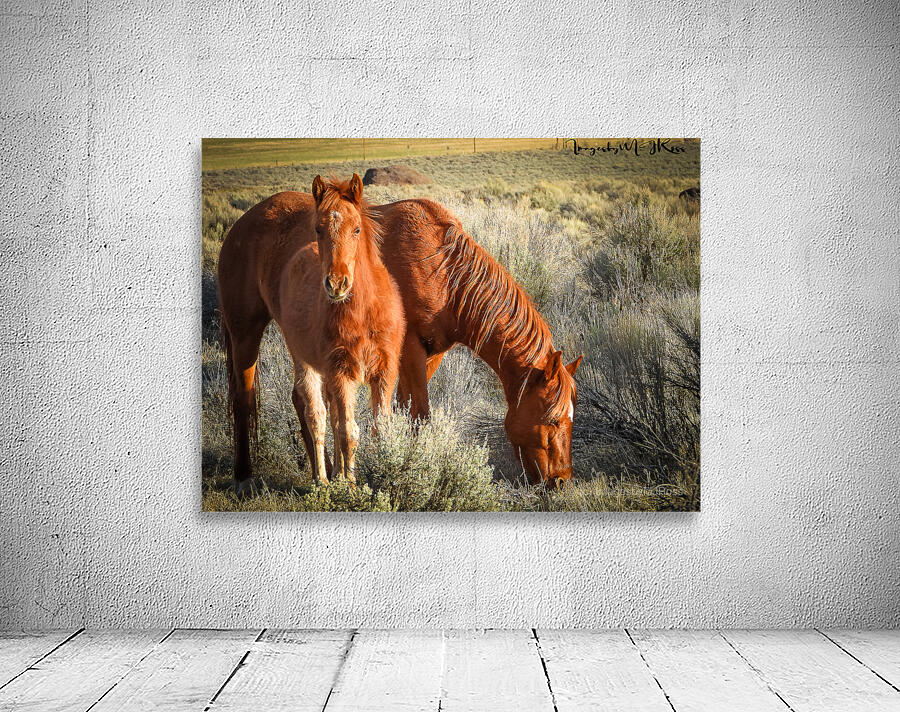 Nevada Wild 165 1 Wall Preview