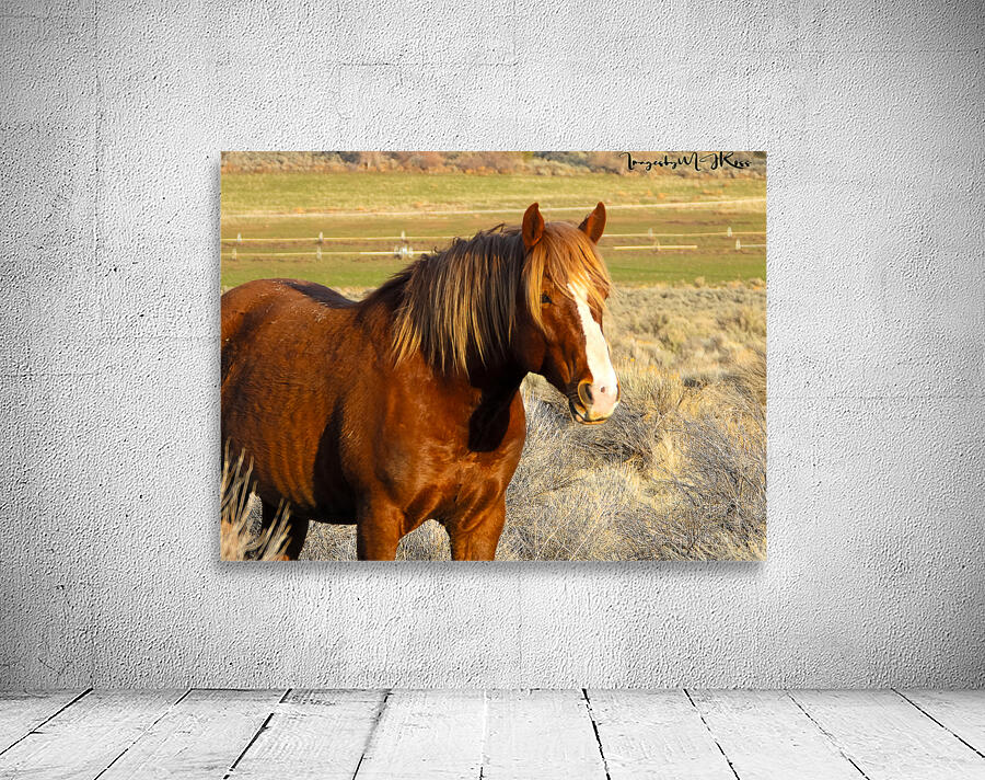 Nevada Wild 165 1 Wall Preview