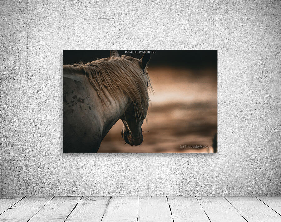 Nevada Wild 165 1 Wall Preview