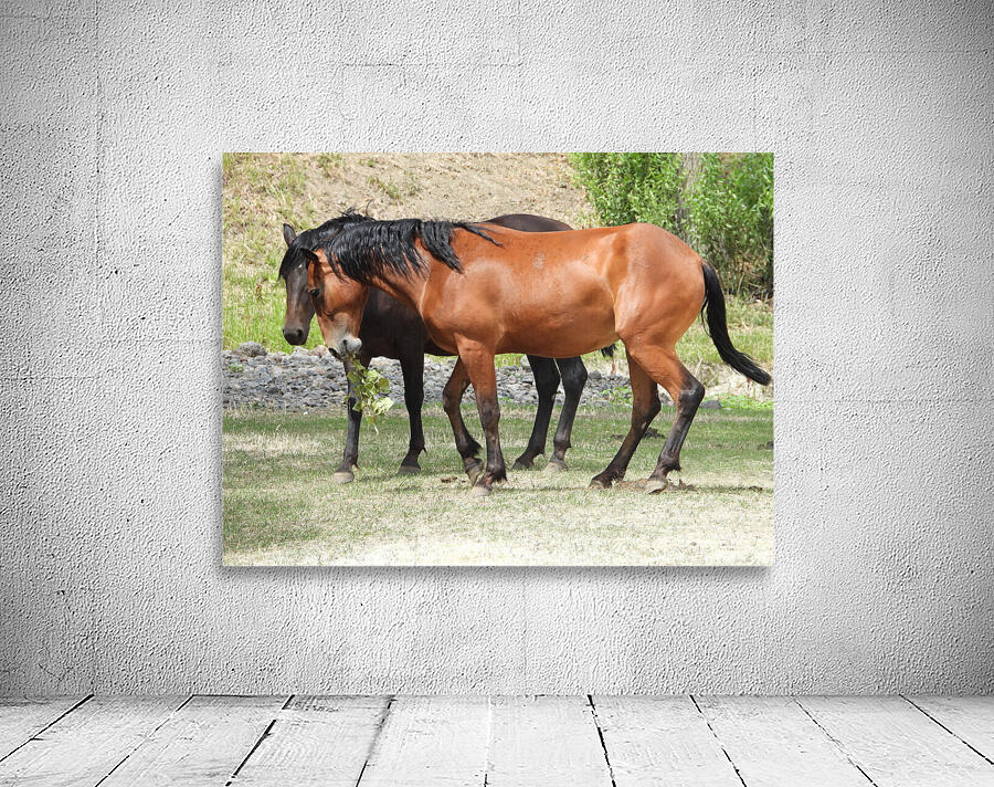 Nevada Wild 165 1 Wall Preview