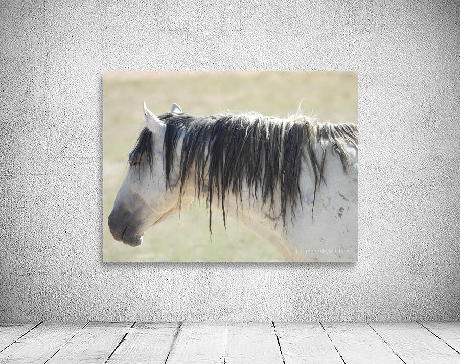 Utah Onaqui Wild Horses Wall Preview