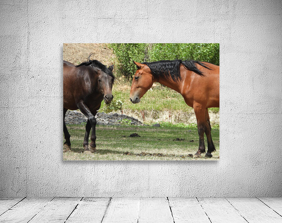 Nevada Wild 165 1 Wall Preview