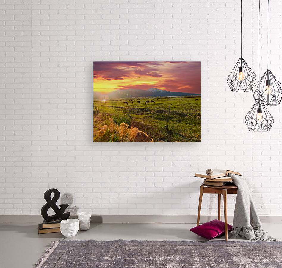 The Best Day Reproduction