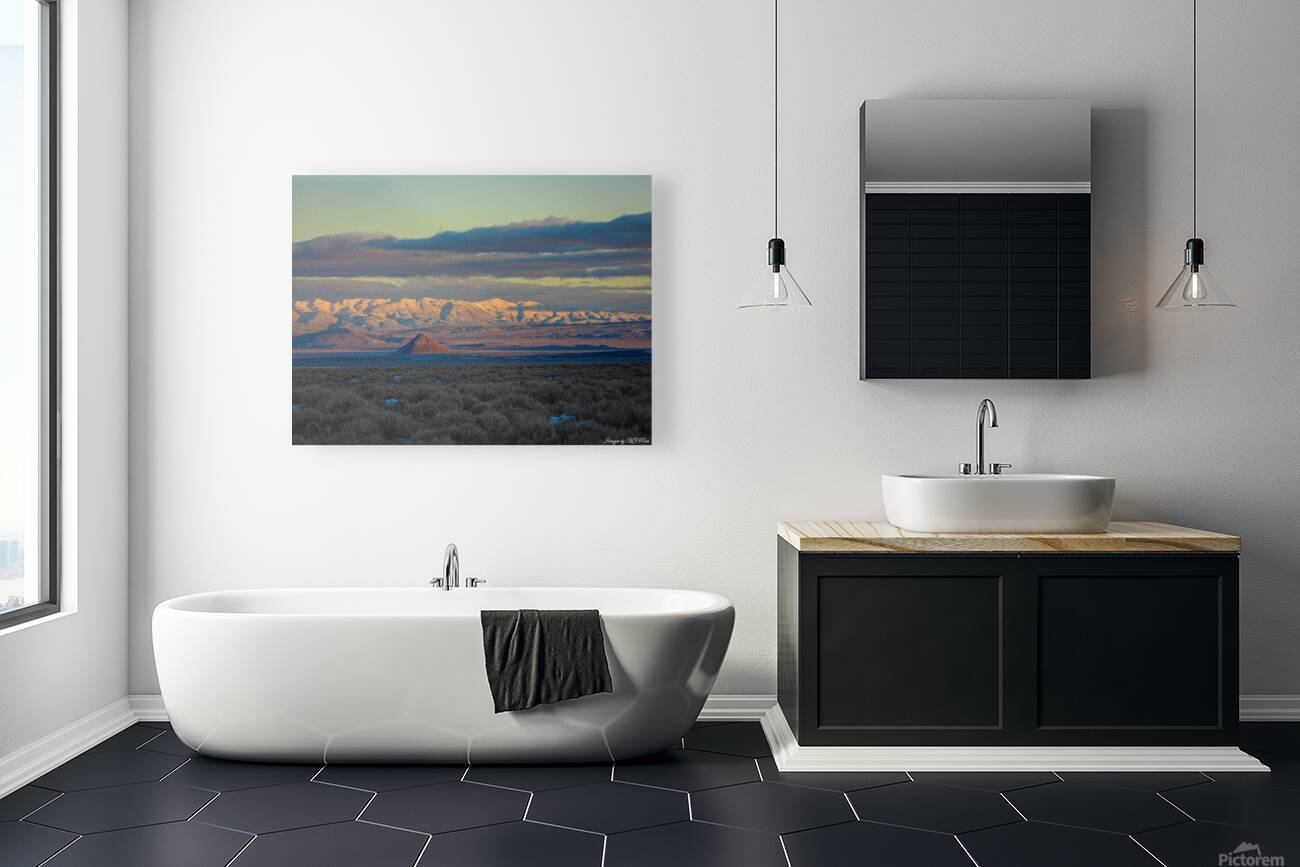 Nevada Landscape 8 Reproduction