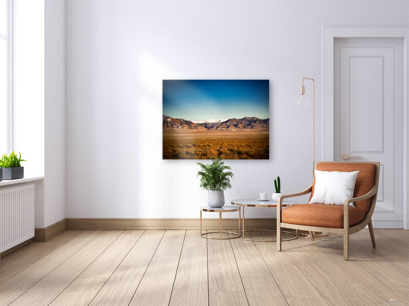 Nevada Landscape 6 Reproduction