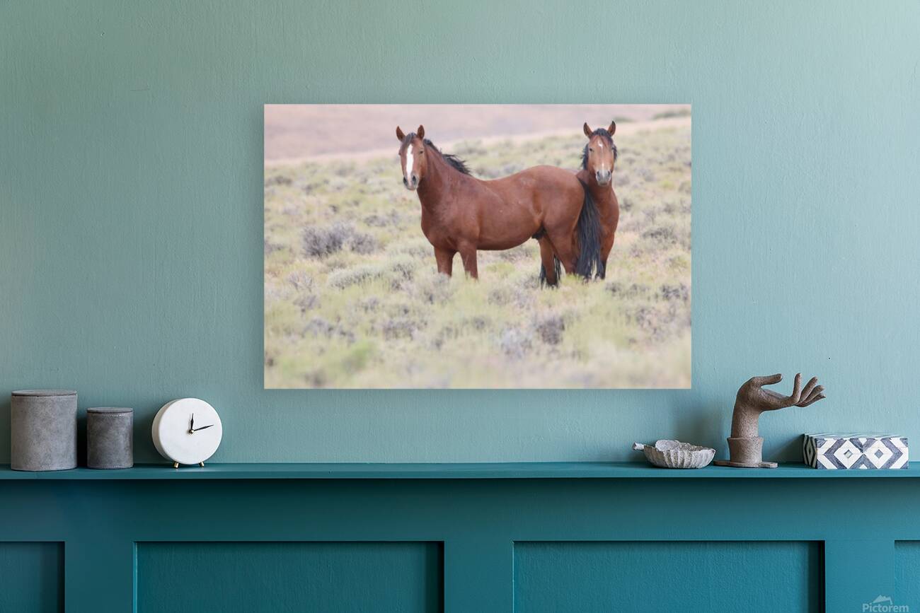 Wild Horse Nevada Series 8 Reproduction