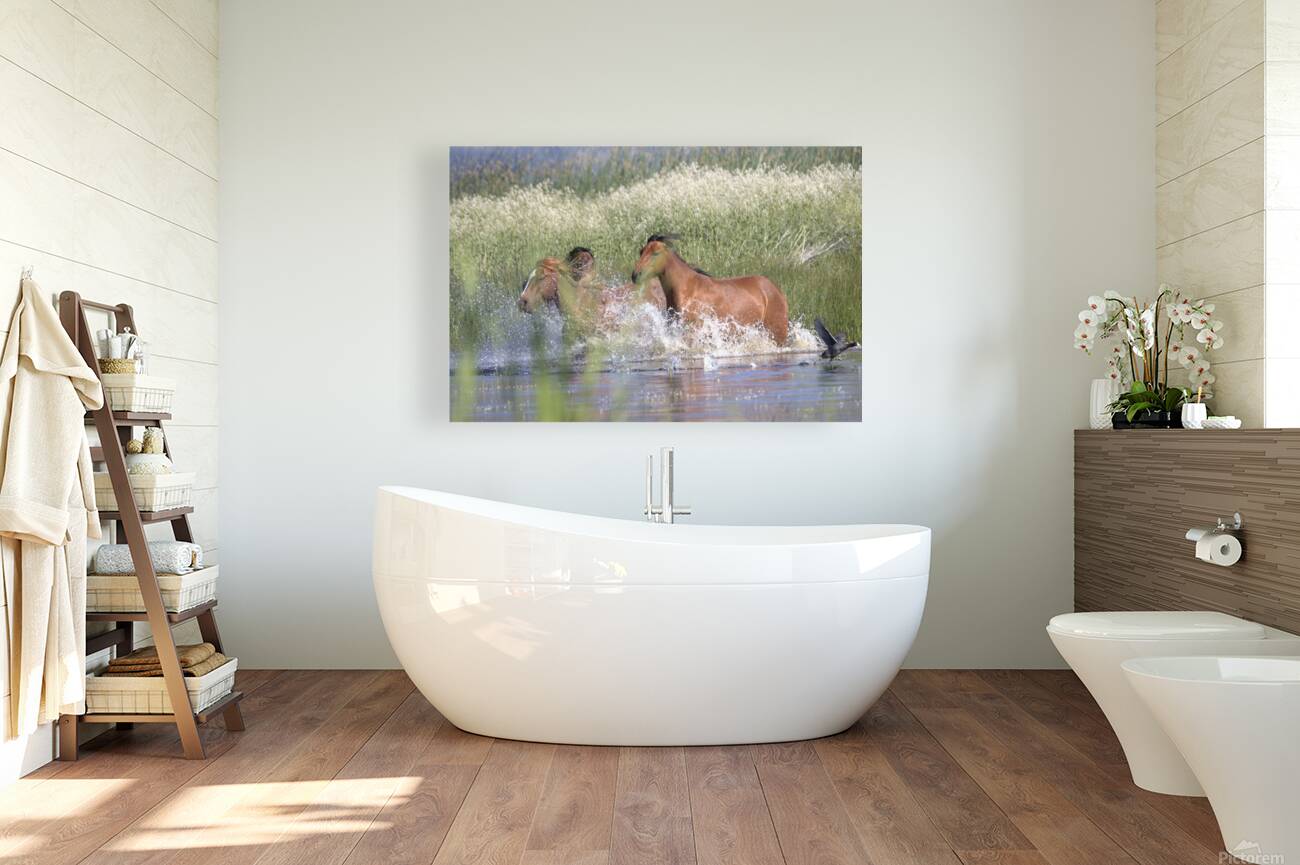 Wild Horse Nevada Series 4 Reproduction