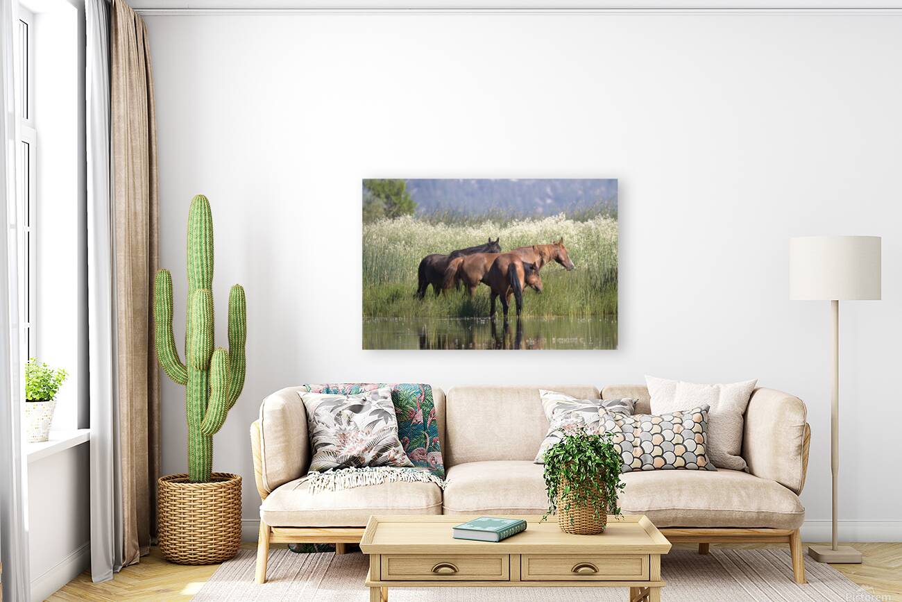 Wild Horse Nevada Series 9 Reproduction