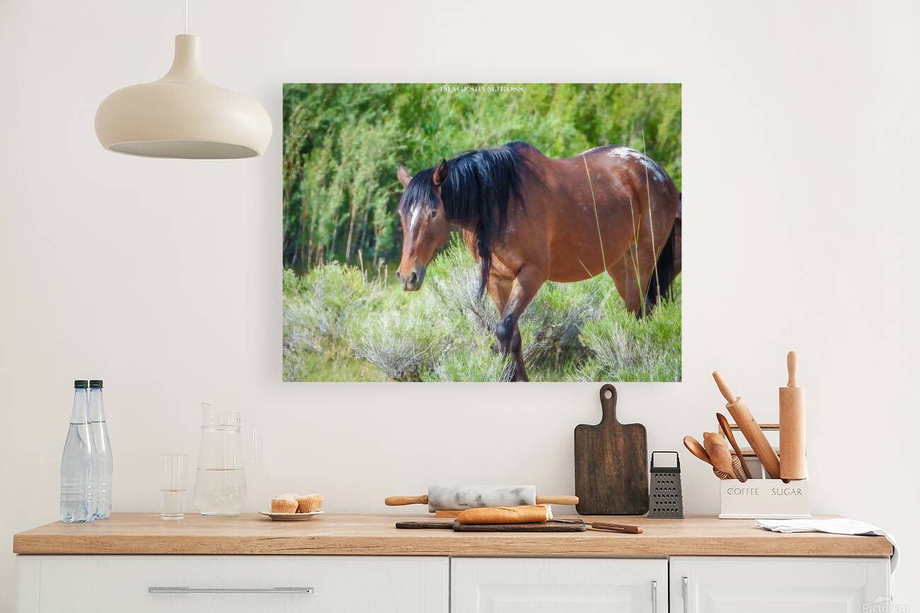 Wild Horse Nevada Series 11 Reproduction