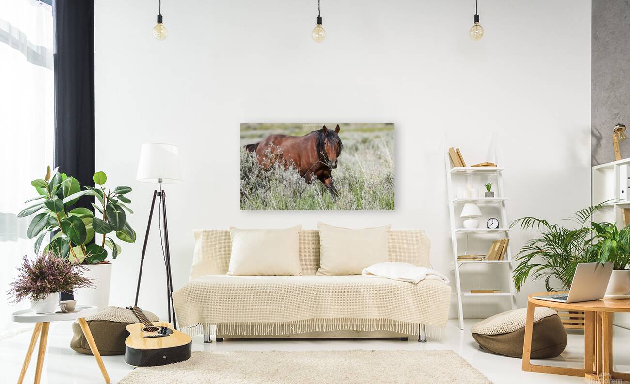 Wild Horse Nevada Series 12 Reproduction