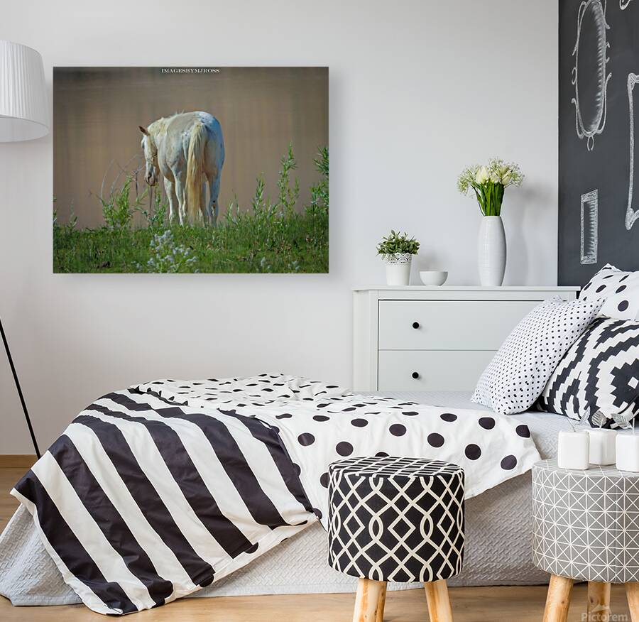 Wild Horse Nevada Series 13 Reproduction