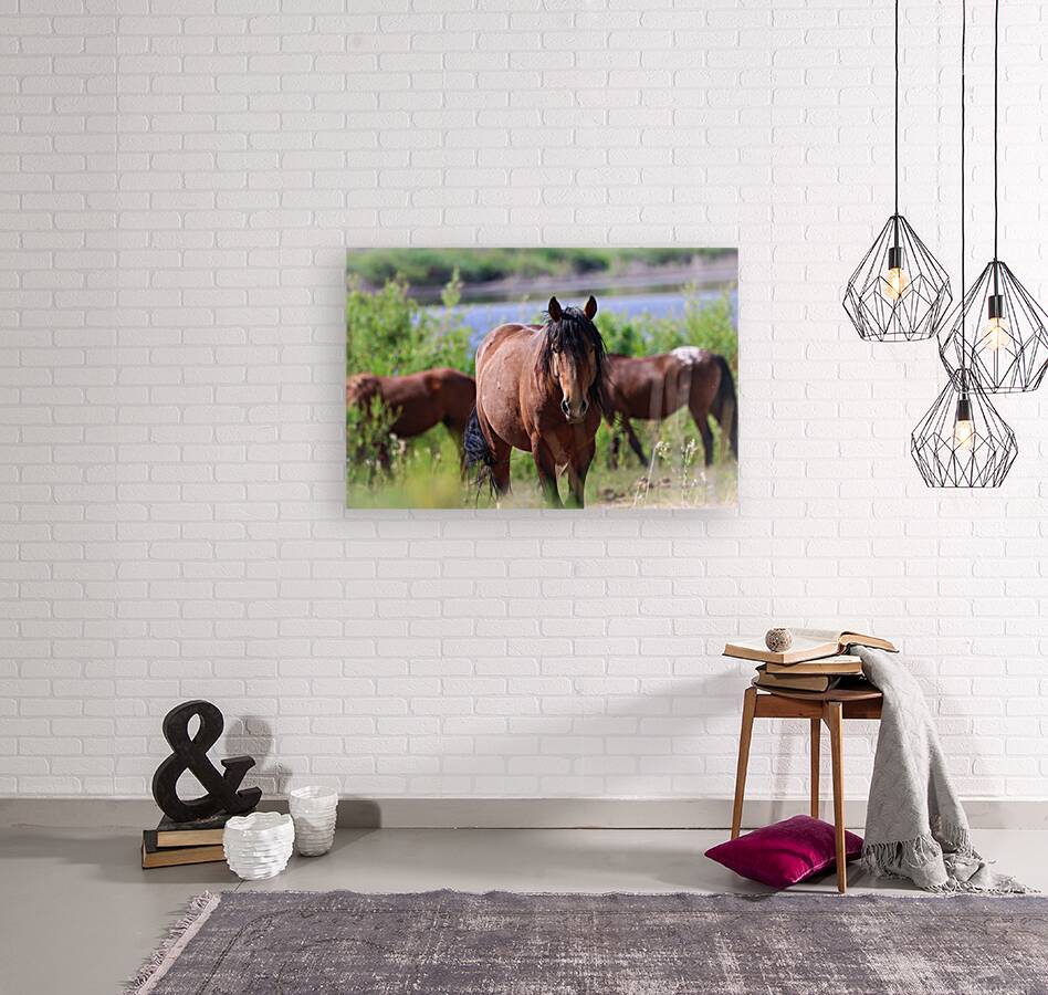 Nevada Virginia Range Series Reproduction