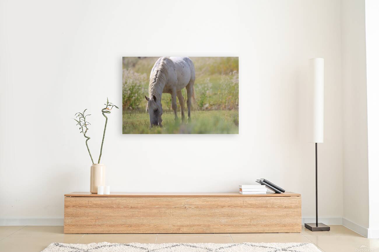 Nevada Virginia Range Series 2 Reproduction