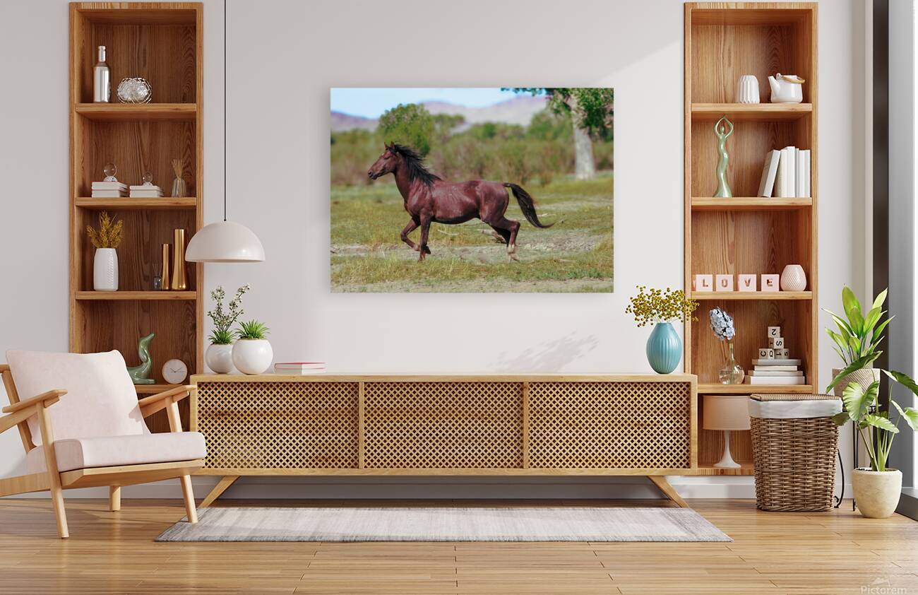 Nevada Virginia Range Series 3 Reproduction