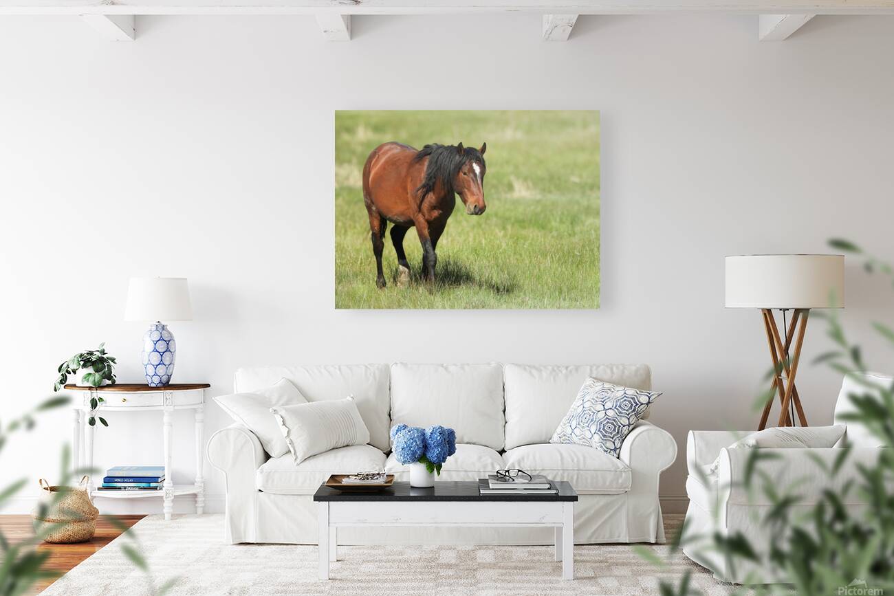 Nevada Virginia Range Series 4 Reproduction