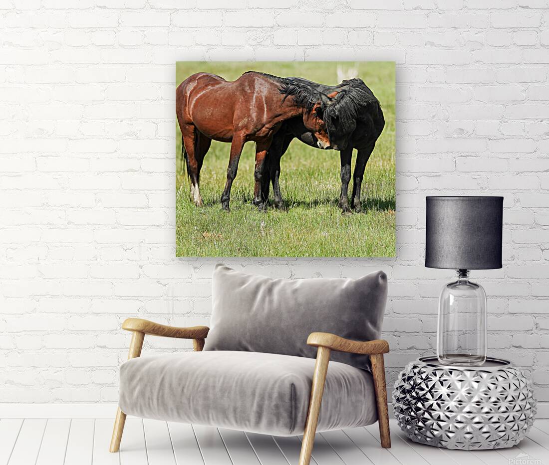 Nevada Virginia Range Series 5 Reproduction