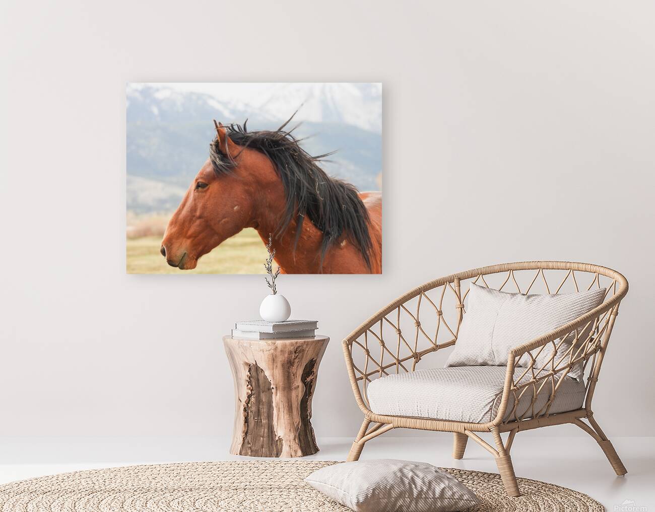 Nevada Virginia Range Series 10 Reproduction