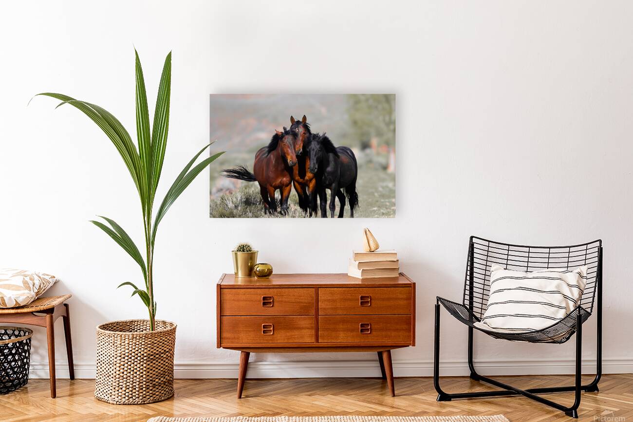 Nevada Virginia Range Series 11 Reproduction