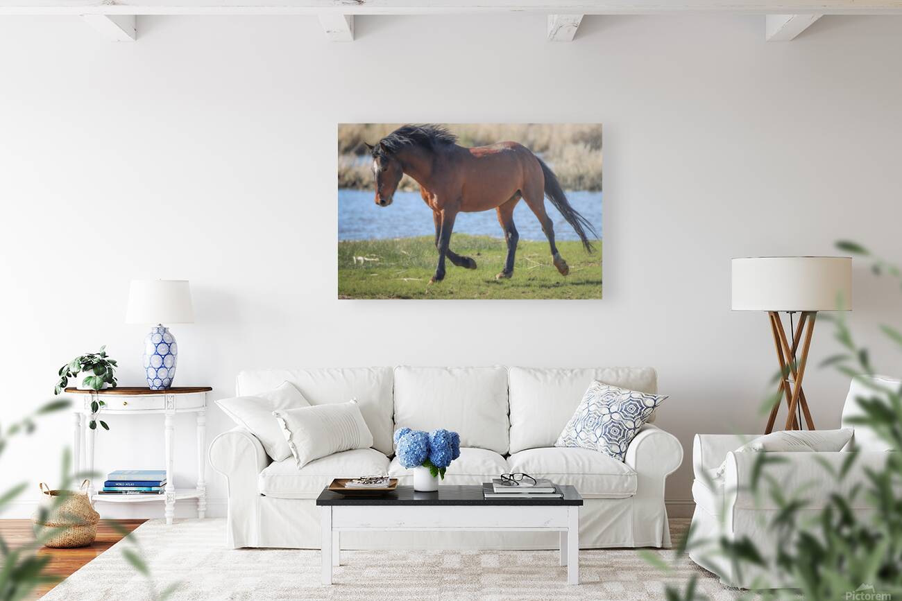 Nevada Virginia Range Series 15 Reproduction