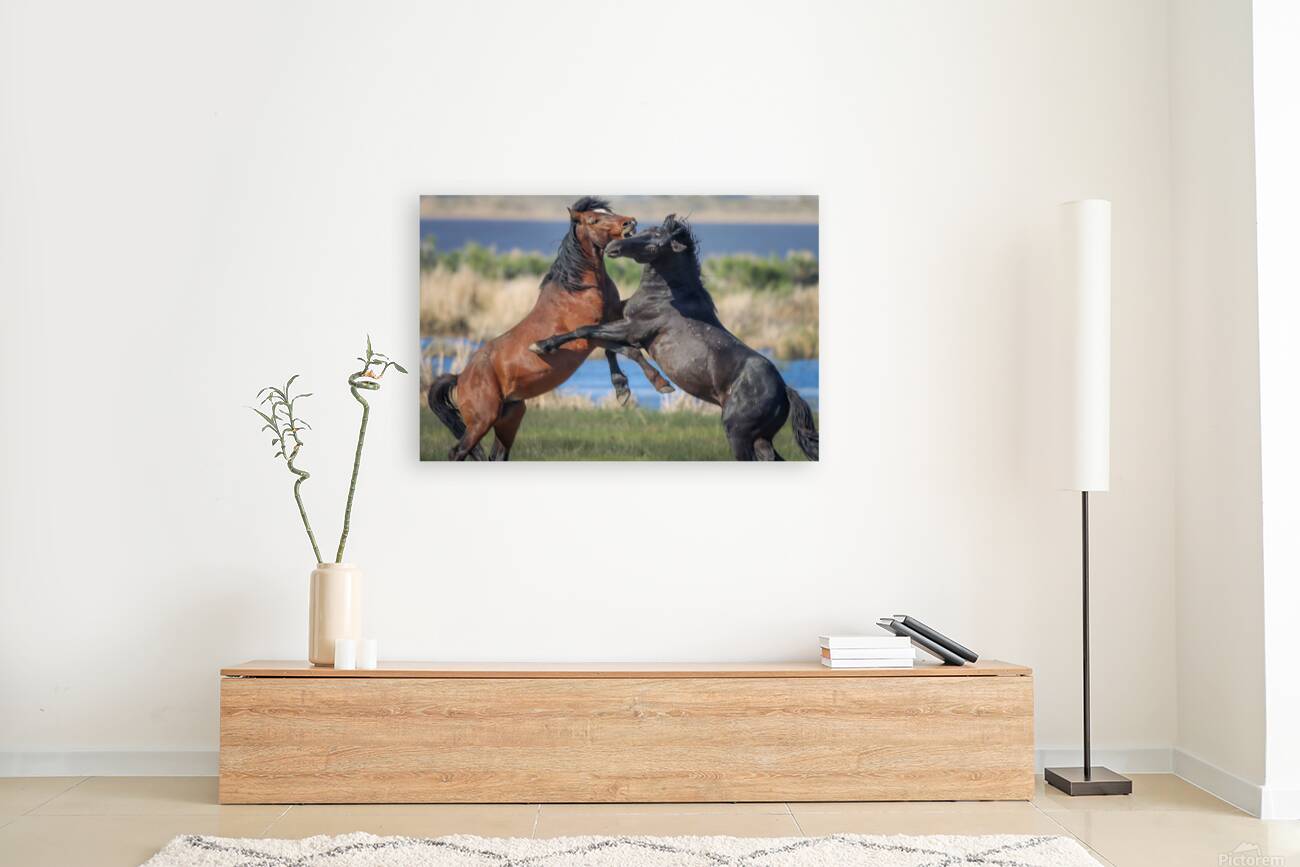 Nevada Virginia Range Series 16 Reproduction