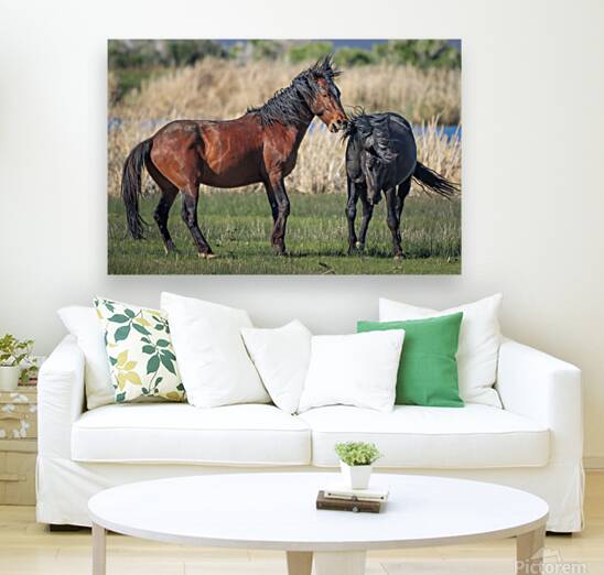 Nevada Virginia Range Series 20 Reproduction