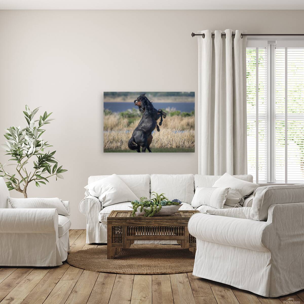 Nevada Virginia Range Series 23 Reproduction