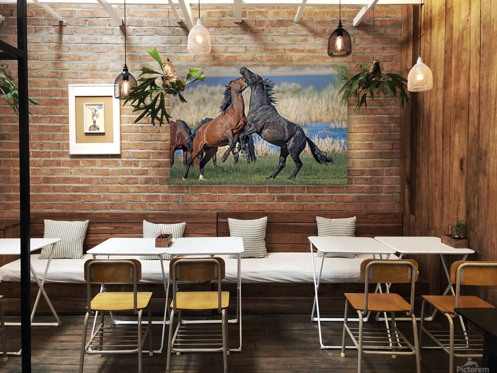 Nevada Virginia Range Series 27 Reproduction