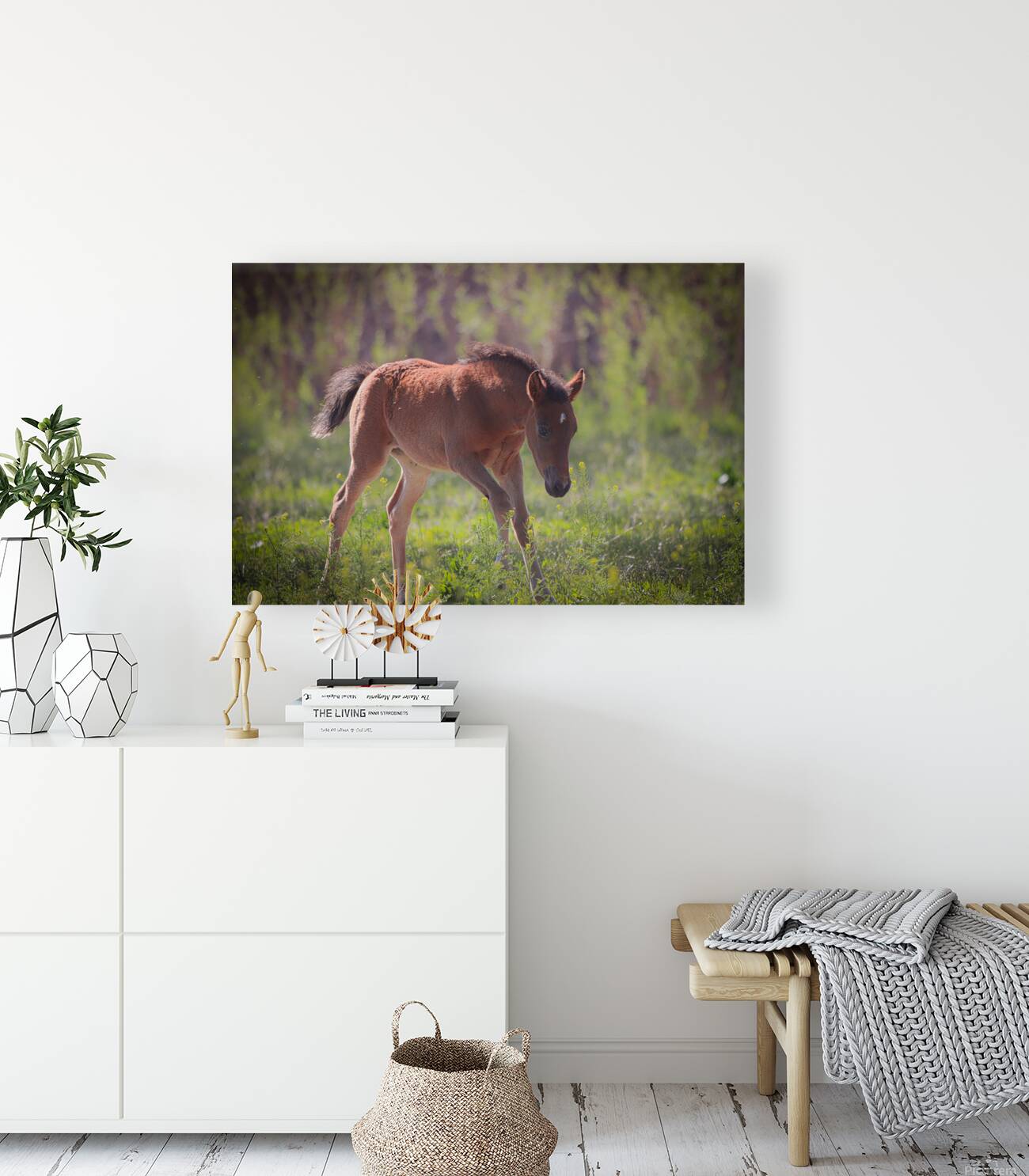 Nevada Virginia Range Series 31 Reproduction