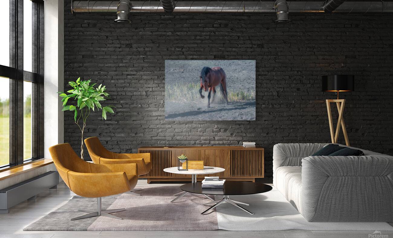 Nevada Virginia Range Series 33 Reproduction