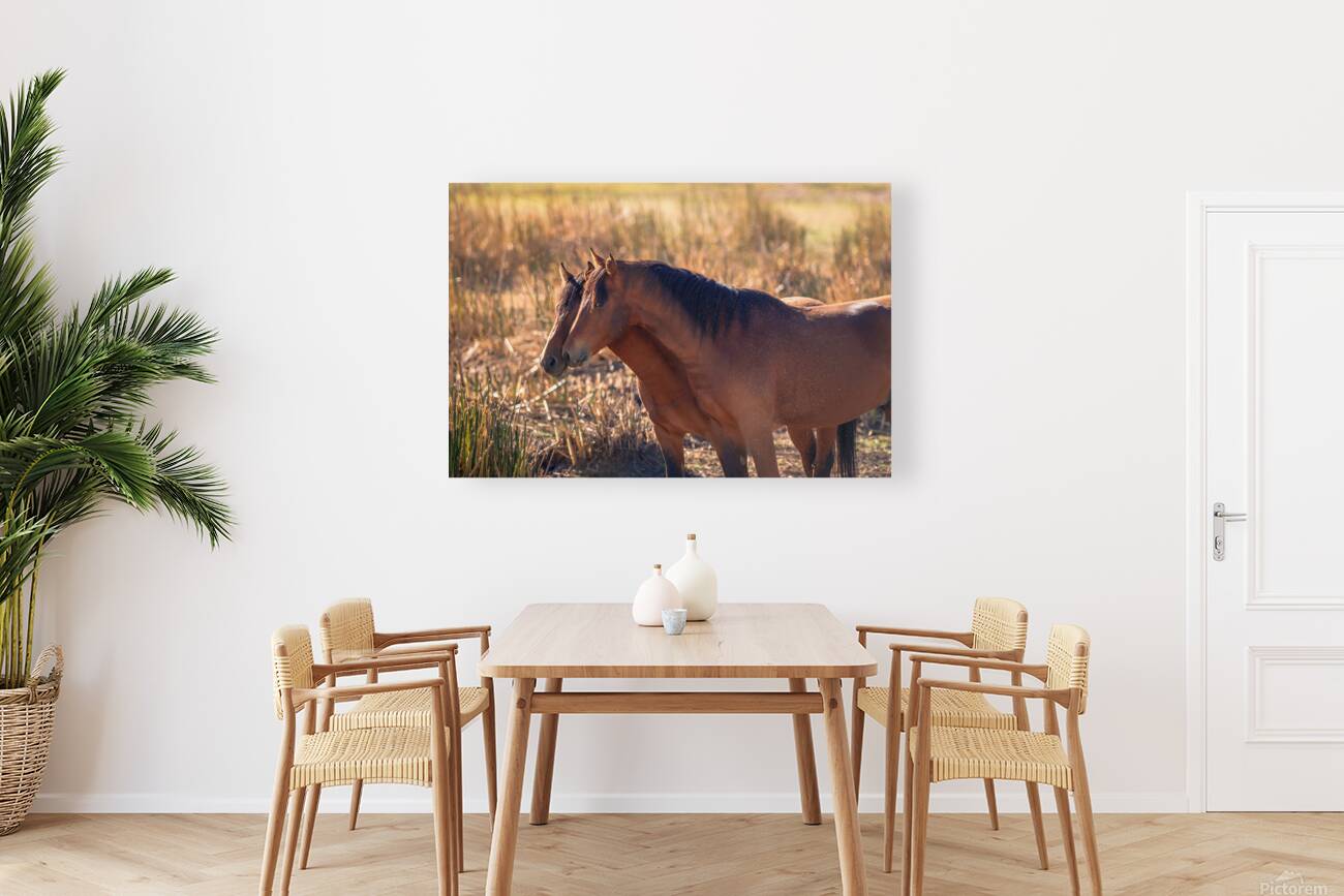 Nevada Virginia Range Series 34 Reproduction