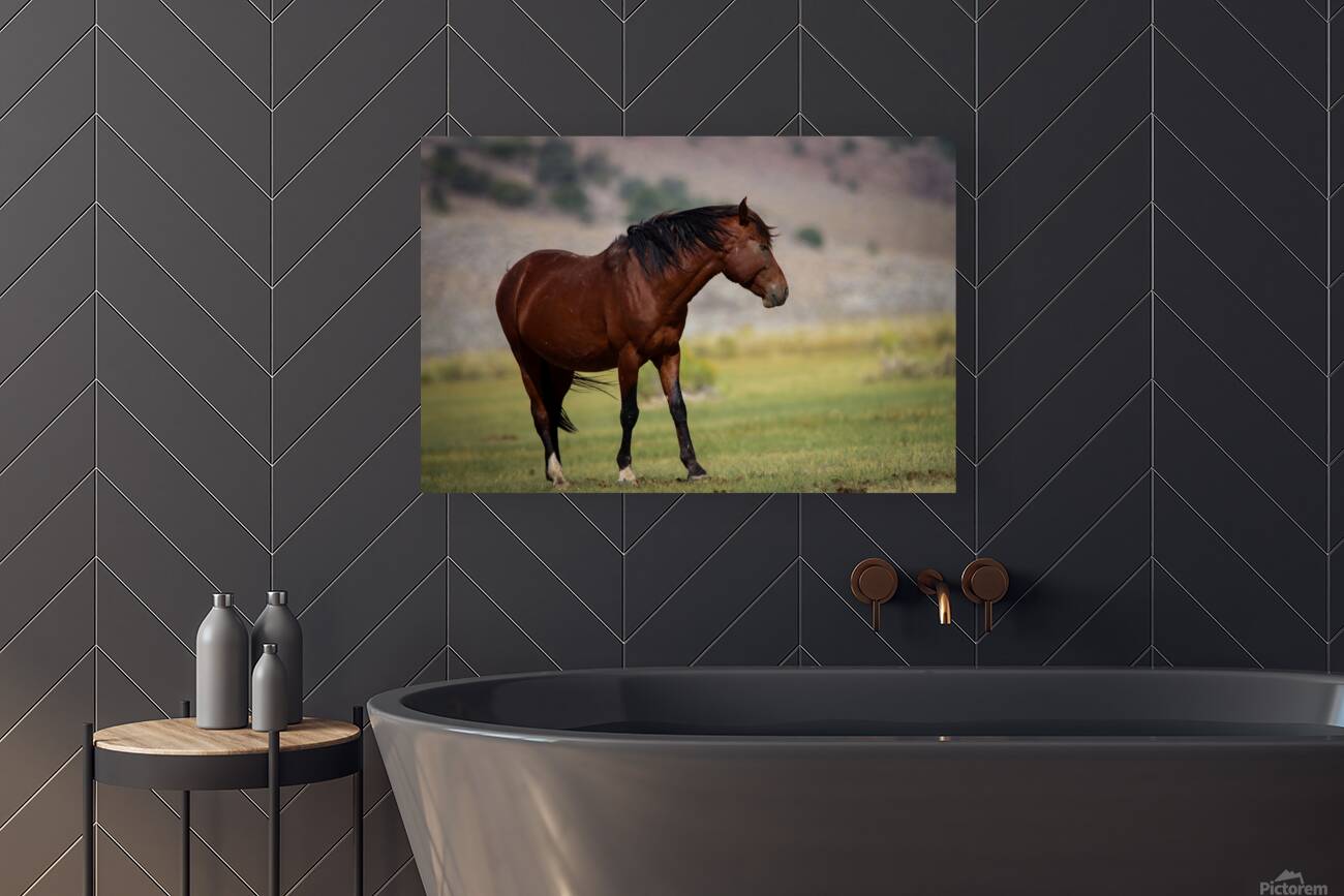 Mono Lake Wild Horse Series 1 Reproduction