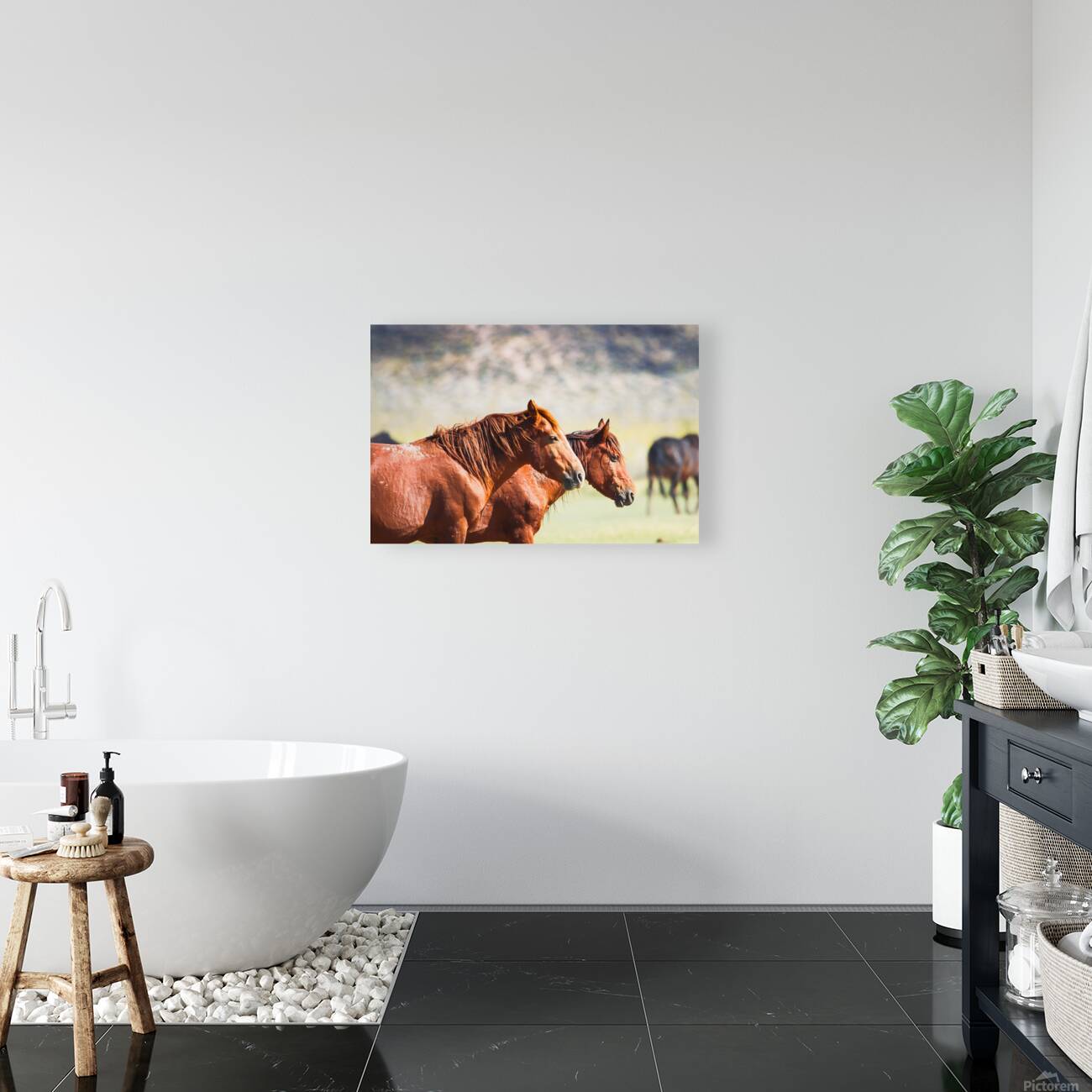 Mono Lake Wild Horse Series 1 Reproduction