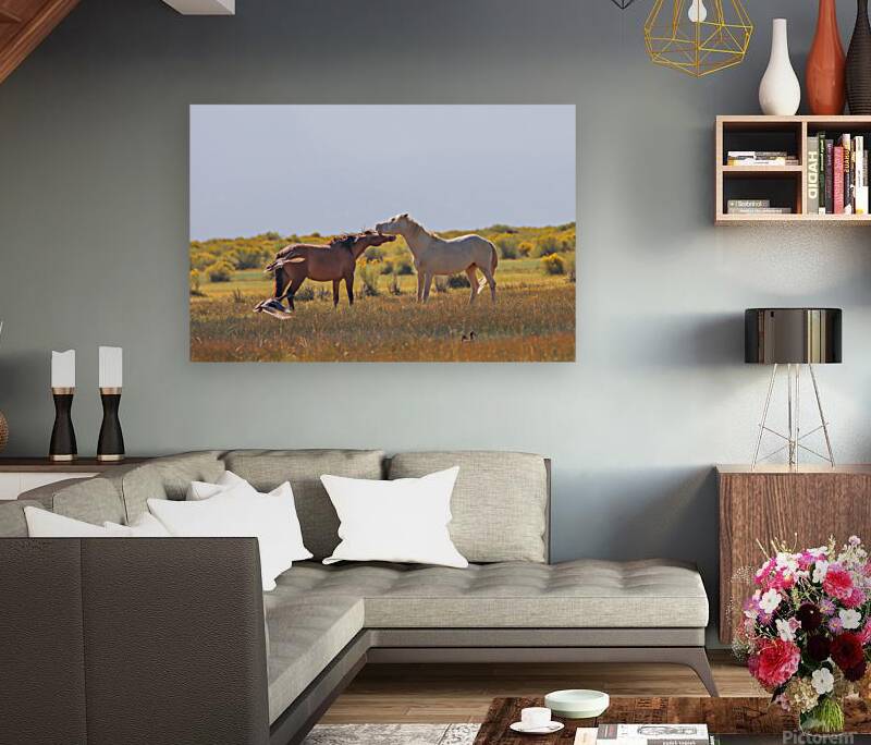 Mono Lake Wild Horse Series 1 Reproduction