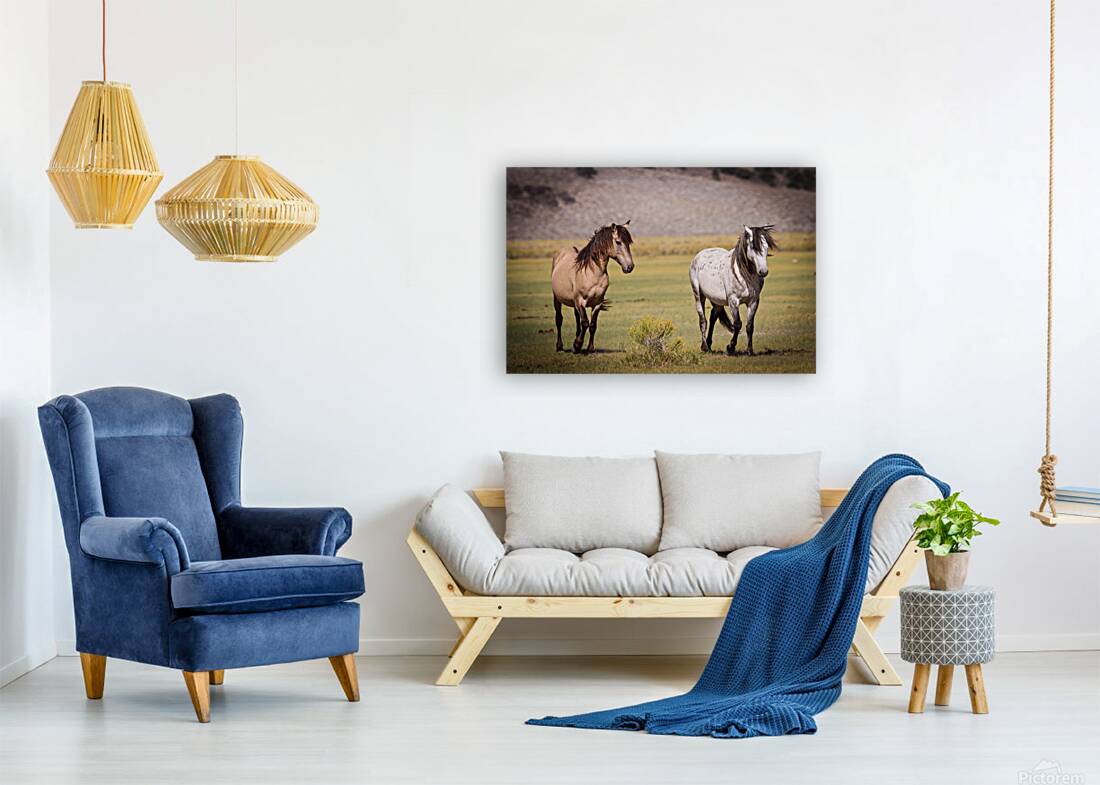 Mono Lake Wild Horse Series 1 Reproduction